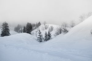 Facile d'accès